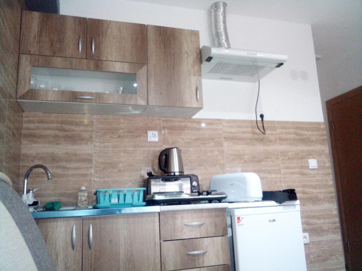 Lela Apartment Josanicka Banja Bagian luar foto