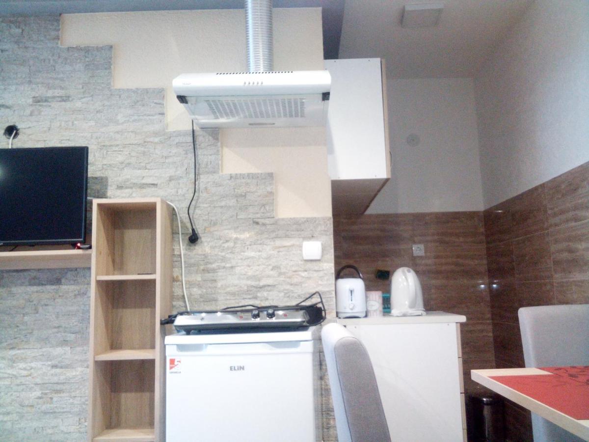 Lela Apartment Josanicka Banja Bagian luar foto