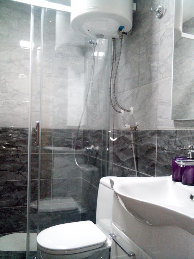 Lela Apartment Josanicka Banja Bagian luar foto