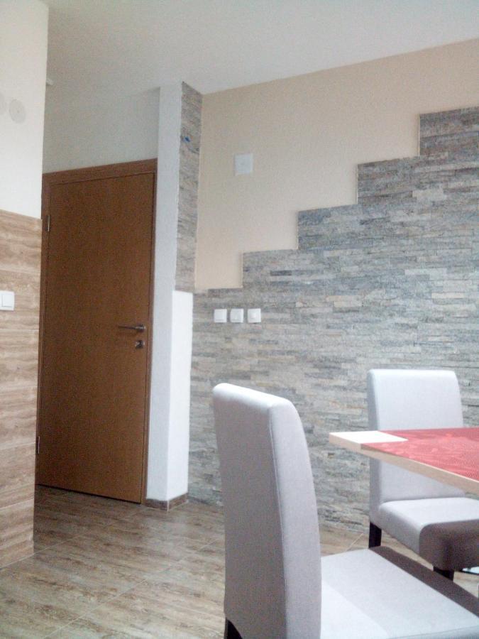 Lela Apartment Josanicka Banja Bagian luar foto