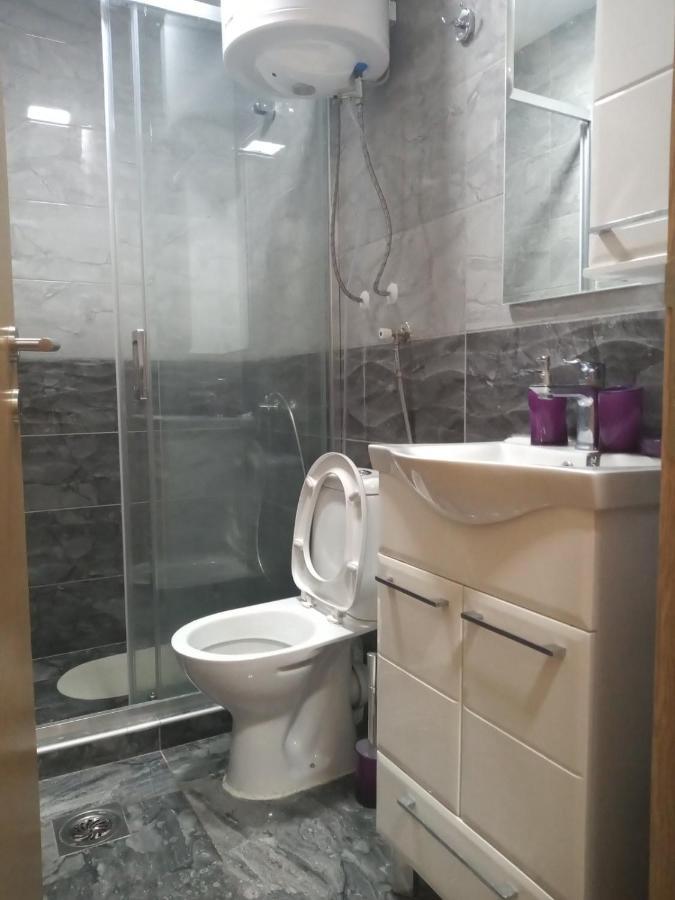 Lela Apartment Josanicka Banja Bagian luar foto