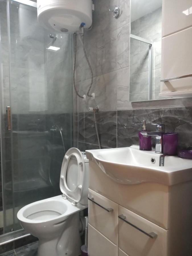 Lela Apartment Josanicka Banja Bagian luar foto