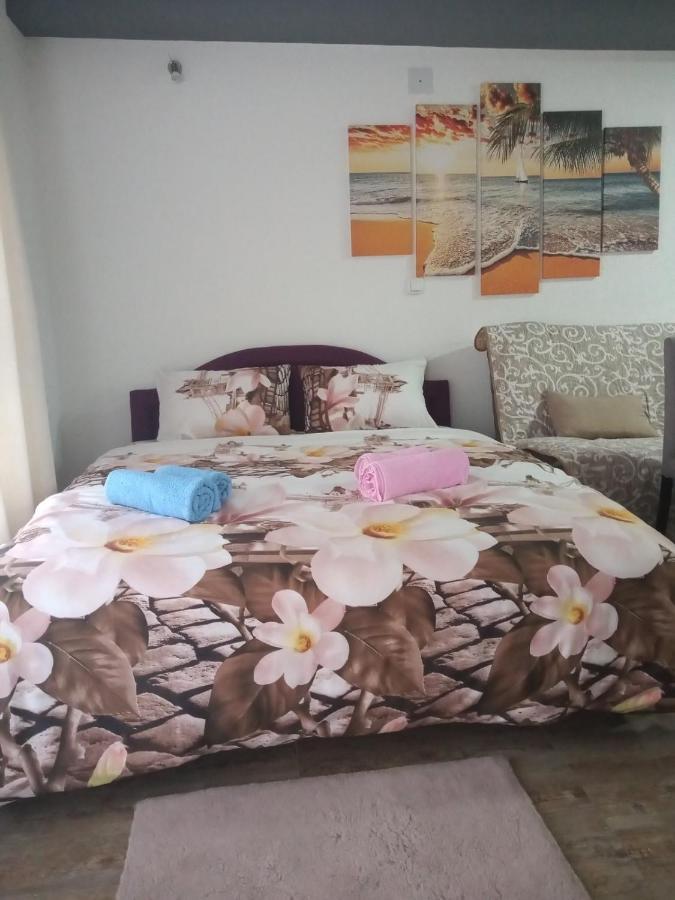 Lela Apartment Josanicka Banja Bagian luar foto