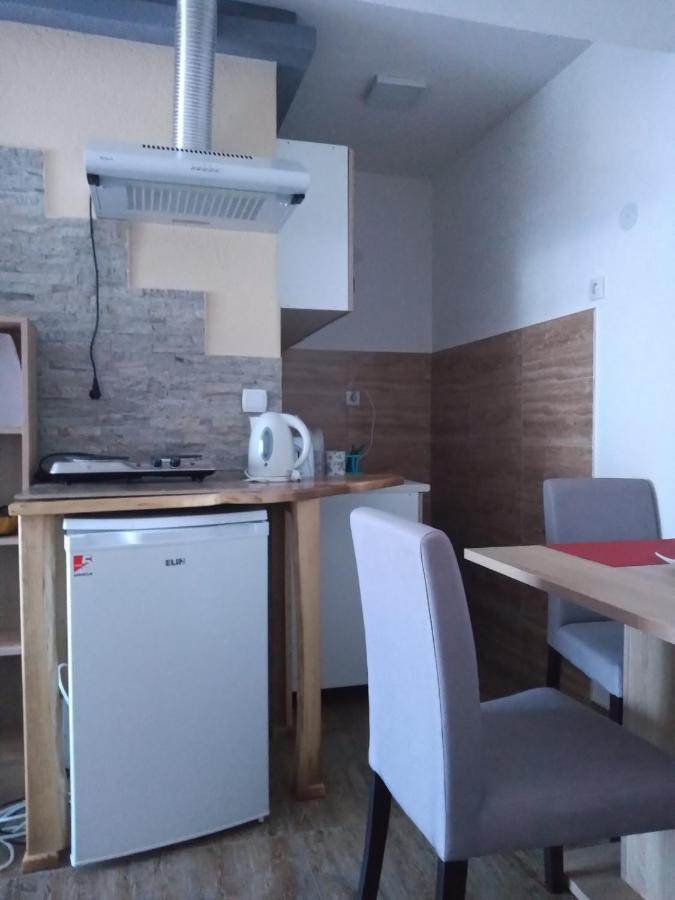 Lela Apartment Josanicka Banja Bagian luar foto