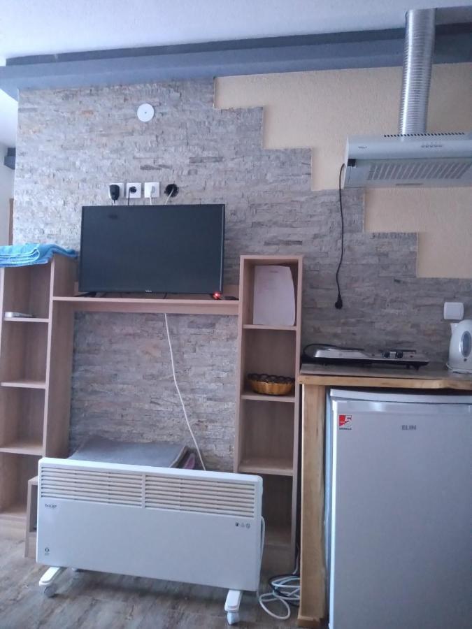 Lela Apartment Josanicka Banja Bagian luar foto